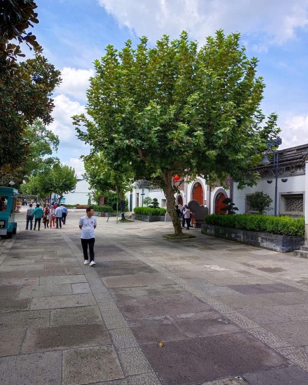 武岭西路商业步行街