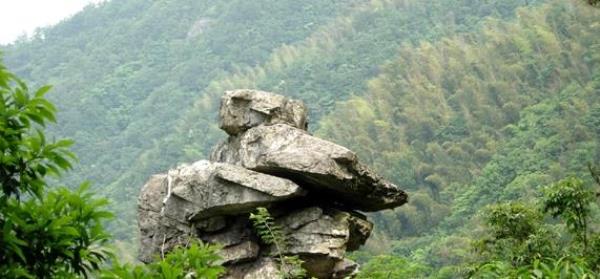 余姚市东岗山森林公园
