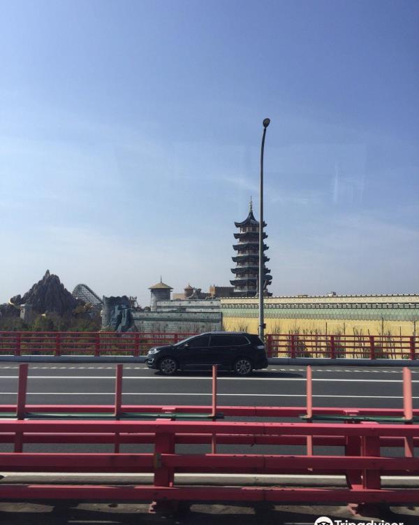 庵东沼泽湿地