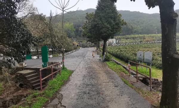 大雷山