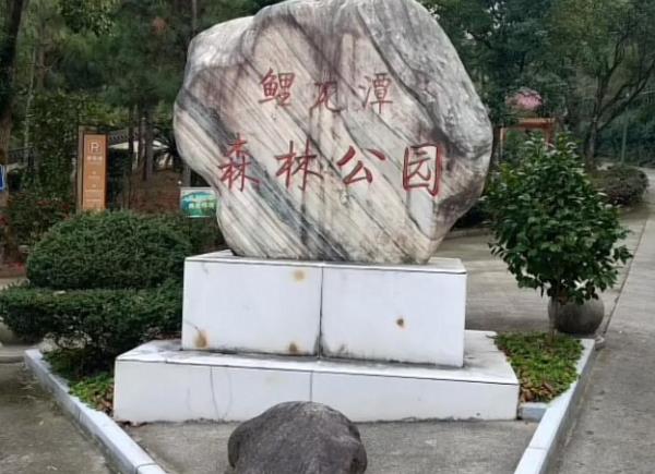 鲤龙潭森林公园