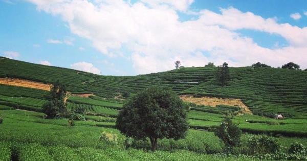 四季山庄景点