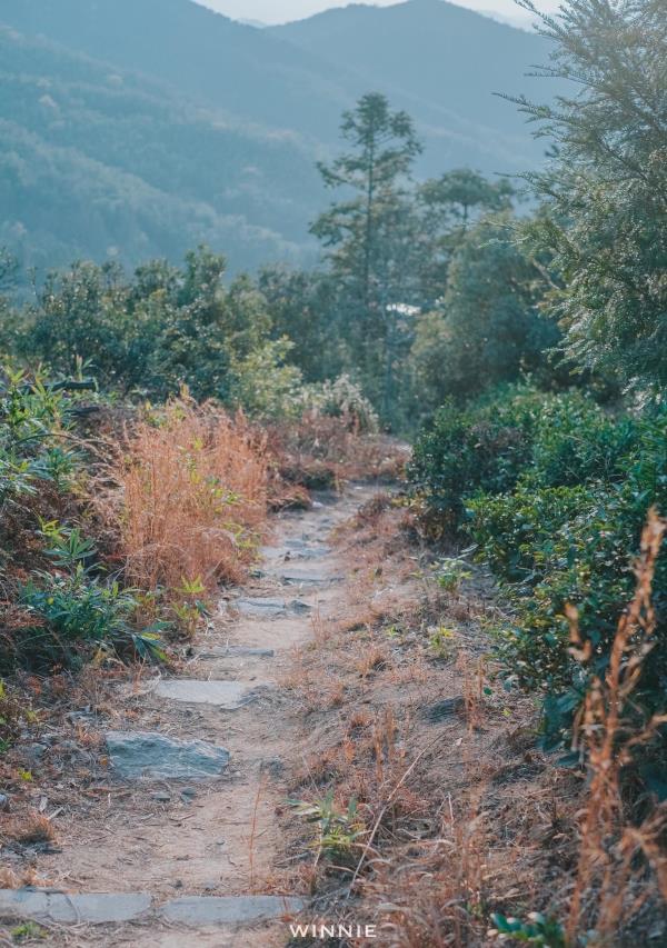 岗墩古道风景区