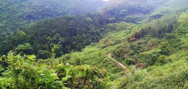 雅戈尔达蓬山旅游度假区-桃花岭古道