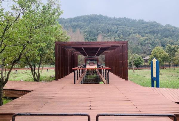 马山湿地