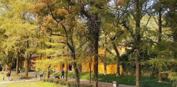 瑞岩寺森林公园