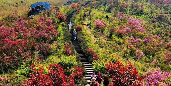 金峨禅寺