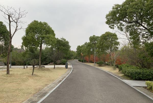 慈溪市森林公园