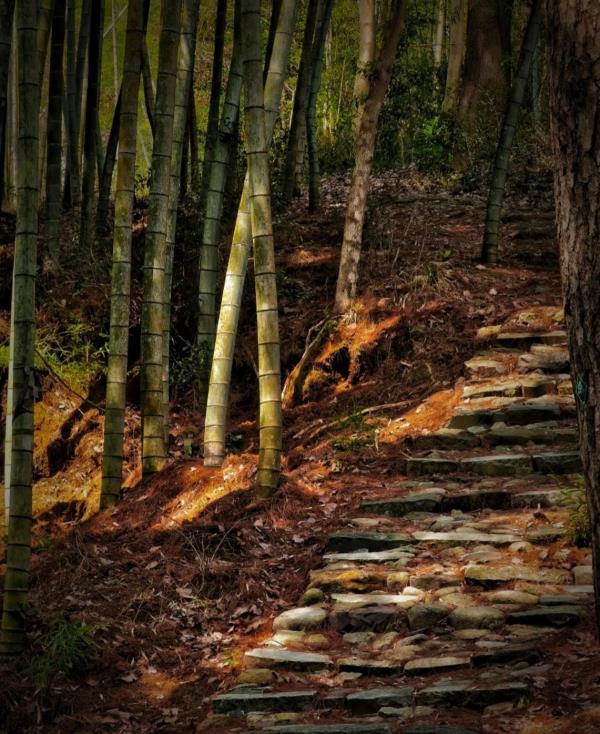 大松湾古道