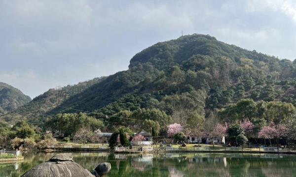 酒埕岩仙人寨