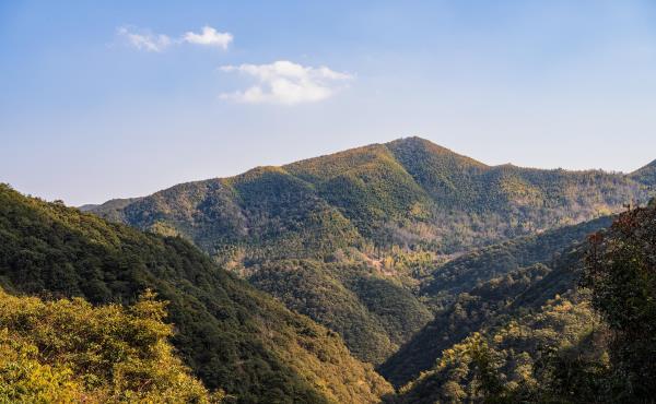 中坡山森林公园