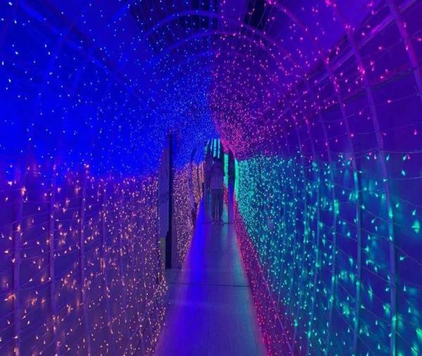 宁波独角兽星空艺术馆