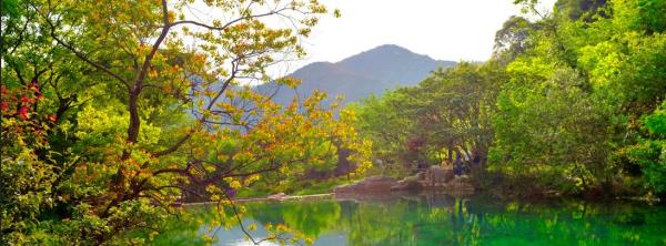 九峰山网岙景区