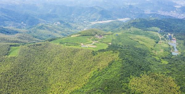 栲栳山