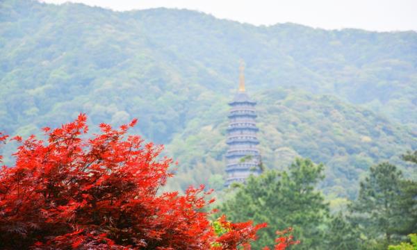 天童国家森林公园