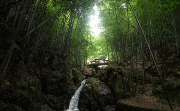 九龙源景区