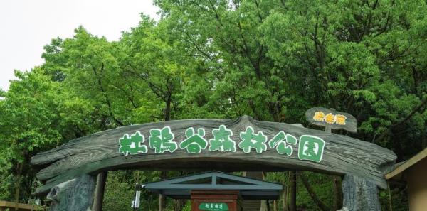 溪口杜鹃谷森林公园