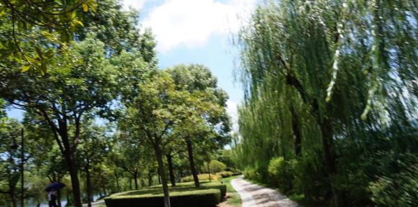 东钱湖陶公岛景区