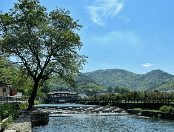 城杨村