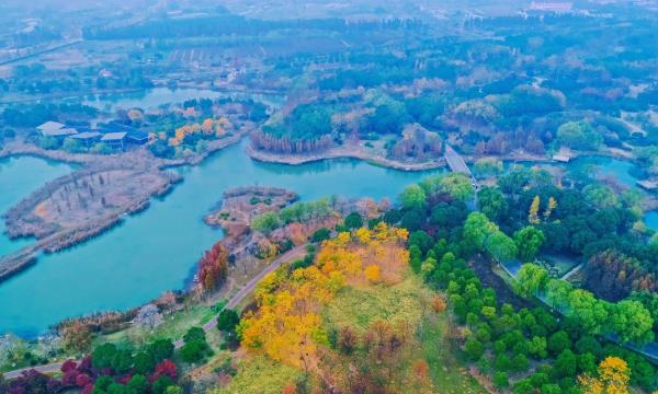 贡湖湾湿地公园