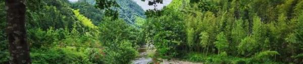 林坑村
