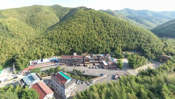 李家园村