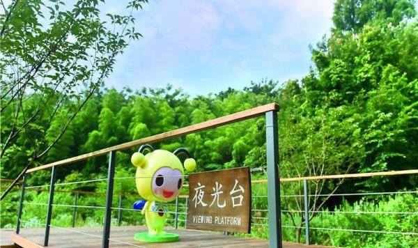 美粲┗鸪嫔态夜公园