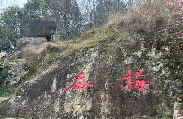 永嘉梅岙