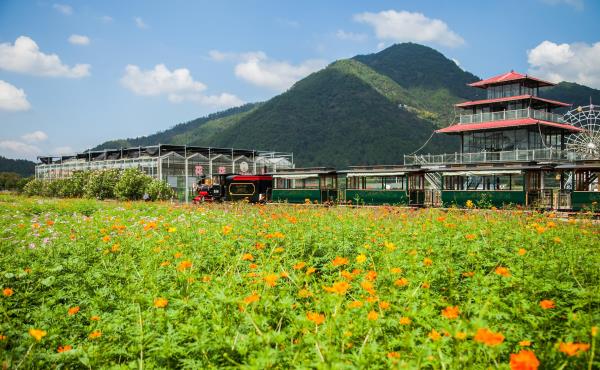 缙云笕川花海