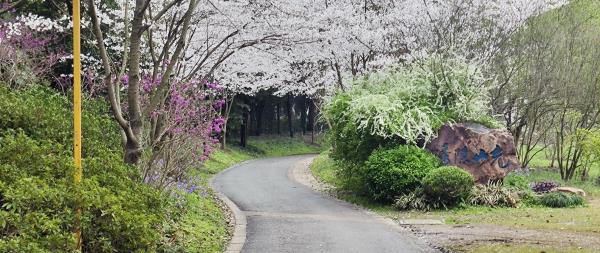 充山隐秀
