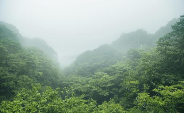 斗岩风景区