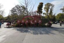 大华行知公园16