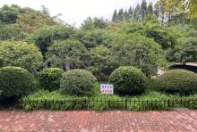 蔓趣公园2