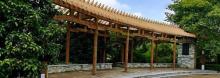 顾村公园水上乐园9