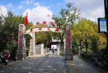 曹杨公园5