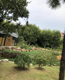 曹杨公园31