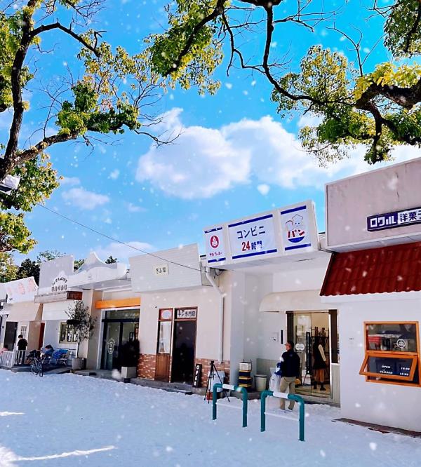 田野和季风