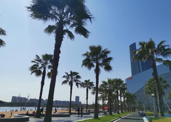 金沙湖公园