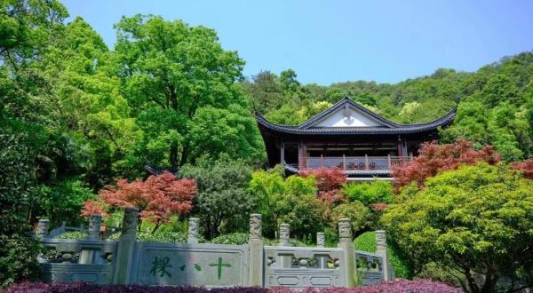 老龙井十八棵御茶园