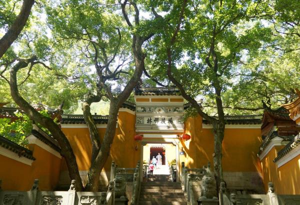 杨枝庵