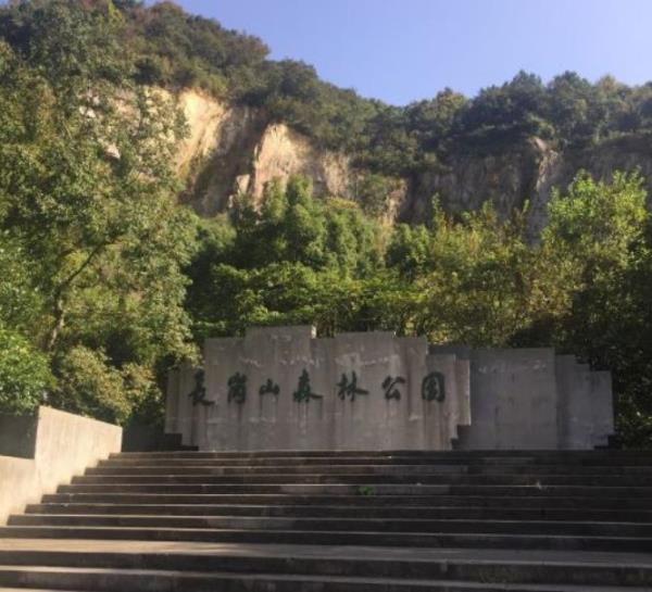 长岗山森林公园