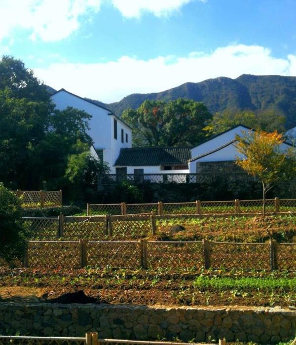 路下徐村