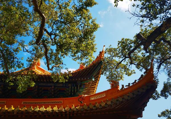 圆通禅院