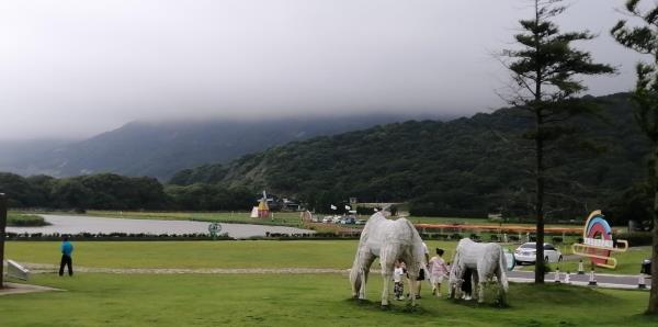 大青山千沙营地
