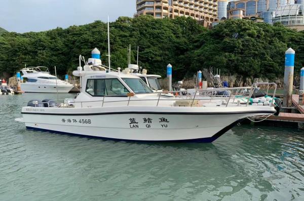 蓝鳍鱼快艇游艇海钓