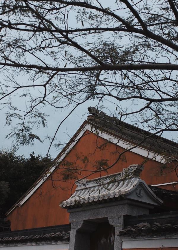 息来禅院