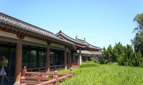 不肯去观音院