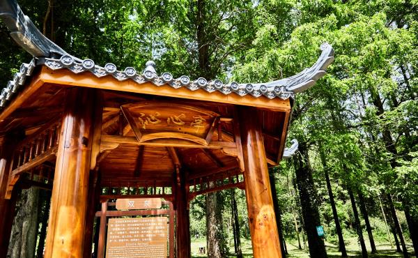 天井山