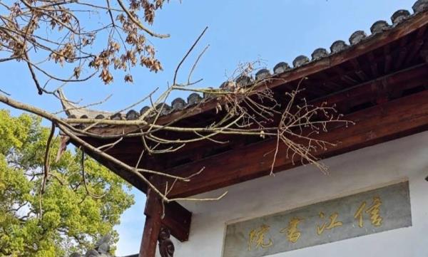 信江书院
