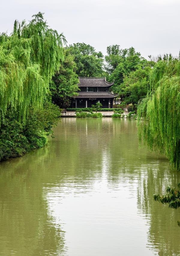瘦西湖赏花